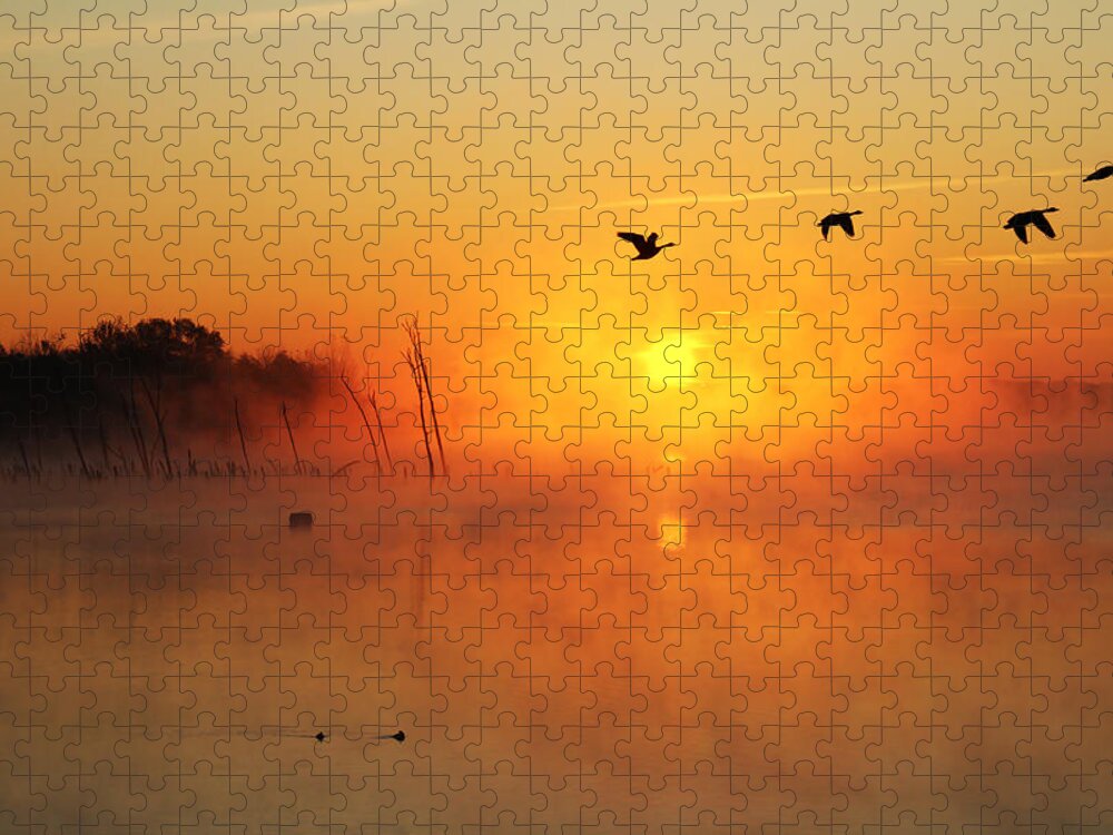 Sunrise Jigsaw Puzzle featuring the photograph Flight at Sunrise by Roger Becker