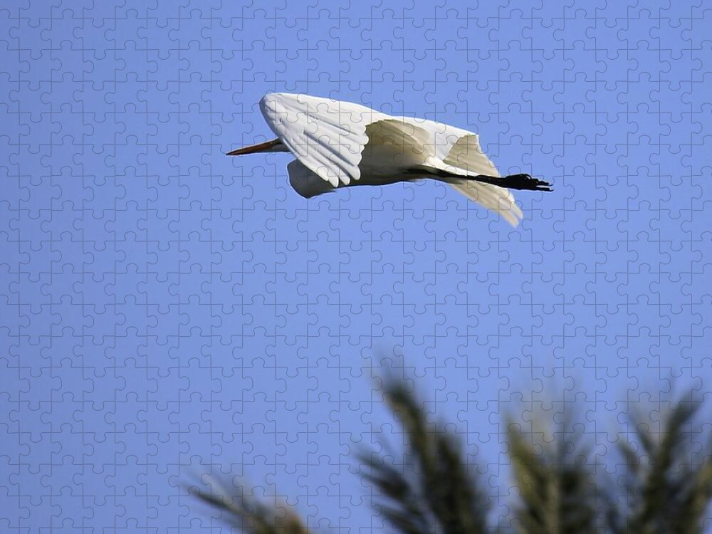 Great White Egret Jigsaw Puzzle featuring the photograph Flight of the Egret by Penny Meyers