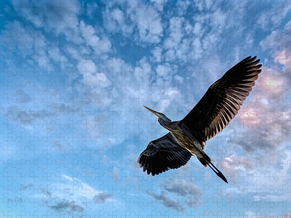 Great Blue Heron Jigsaw Puzzle featuring the photograph Flight Of The Heron by Bob Orsillo