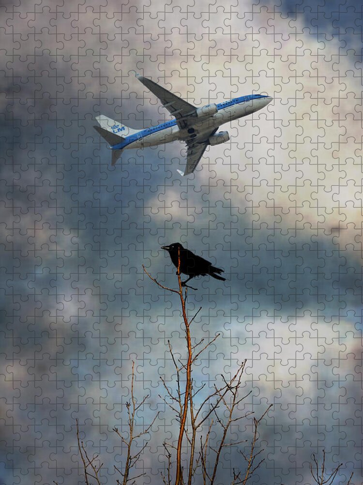 Retro Jigsaw Puzzle featuring the photograph Flight by Steve Ball