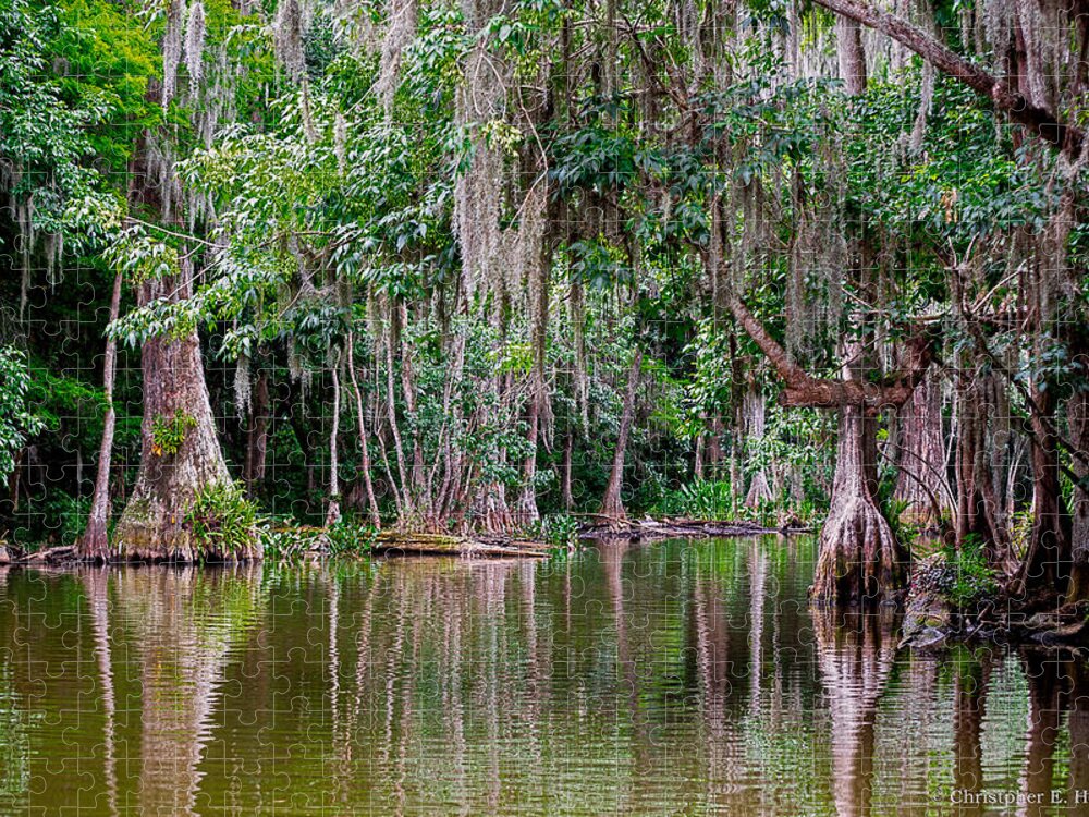 Christopher Holmes Photography Jigsaw Puzzle featuring the photograph Florida Naturally 2 by Christopher Holmes