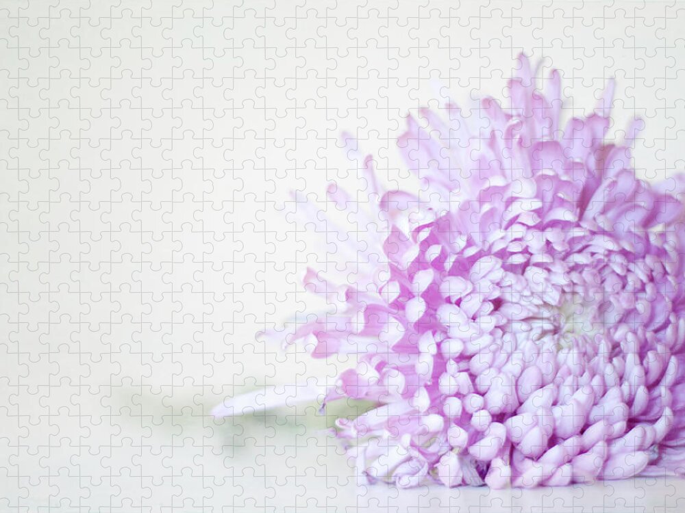 White Background Jigsaw Puzzle featuring the photograph Flower by Boutique Photography