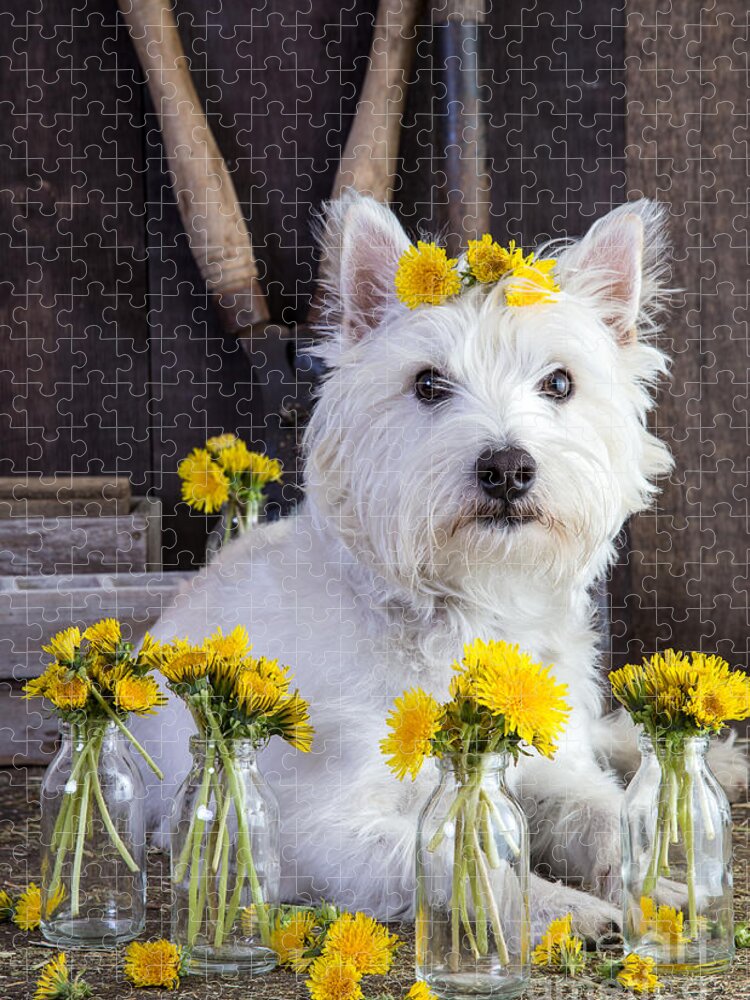 Dog Jigsaw Puzzle featuring the photograph Flower Child by Edward Fielding