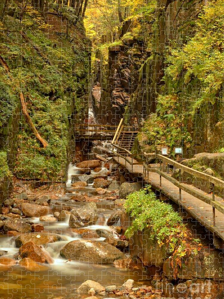 Flume Gorge Jigsaw Puzzle featuring the photograph Flume Gorge At Franconia Notch by Adam Jewell