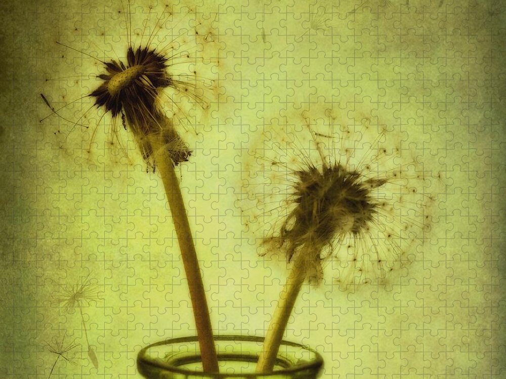 Dandelion Jigsaw Puzzle featuring the photograph Fly Away by Priska Wettstein