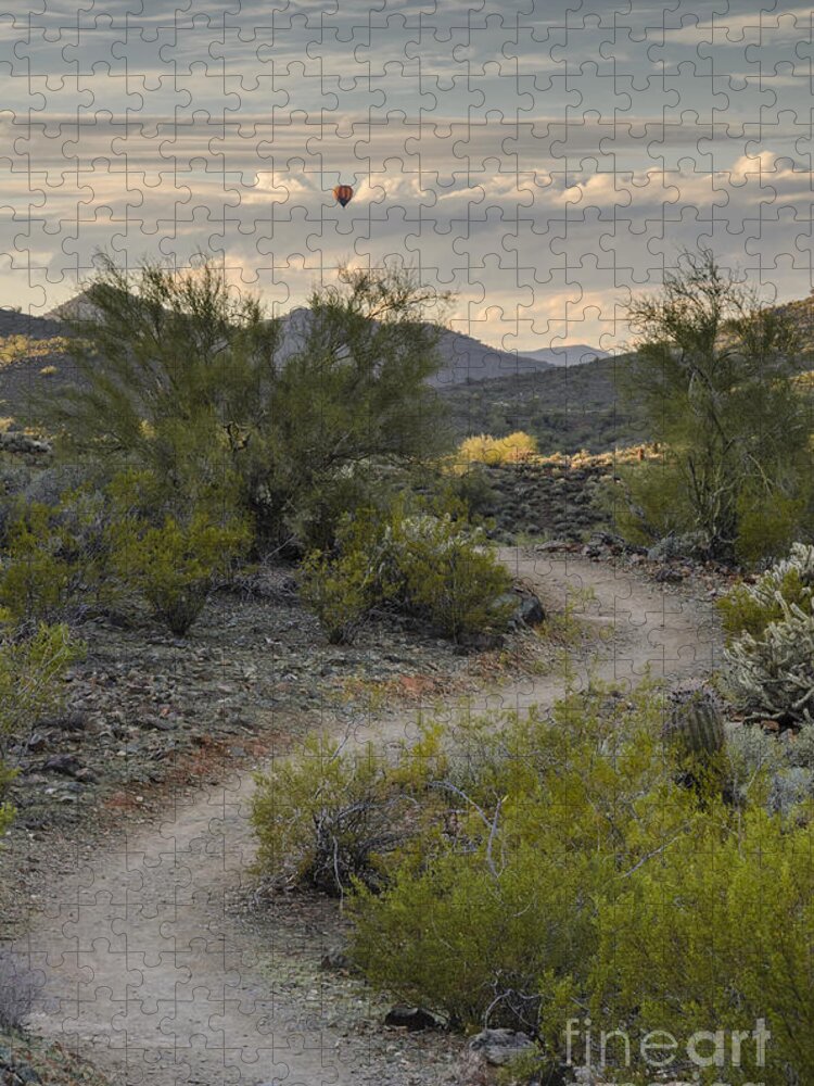 Desert Jigsaw Puzzle featuring the photograph Flying Above The Desert by Tamara Becker