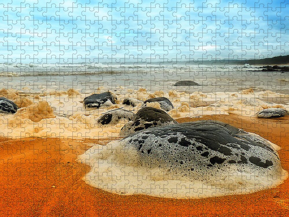 Saltwater Nsw Jigsaw Puzzle featuring the photograph Foam rocks 01 by Kevin Chippindall