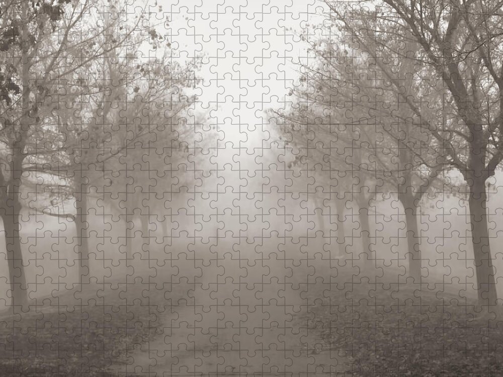Autumn Jigsaw Puzzle featuring the photograph Fog Monochrome by Kathy Bassett