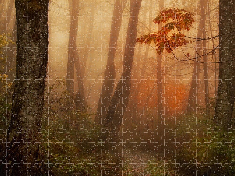 Autumn Jigsaw Puzzle featuring the photograph Foggy Autumn by Mary Jo Allen