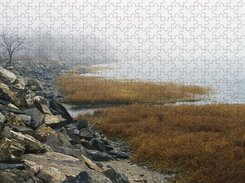 1998 Jigsaw Puzzle featuring the photograph Foggy Coastal Salt Marsh by John W. Bova