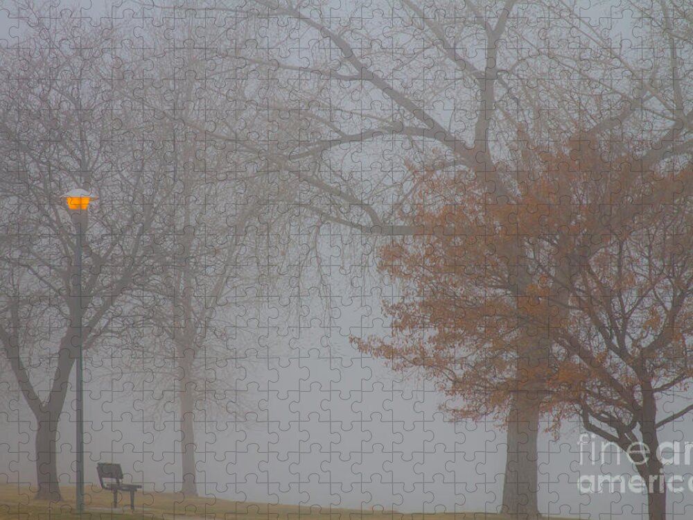 Fog Jigsaw Puzzle featuring the photograph Foggy Lake View by James BO Insogna