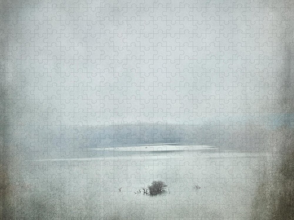 Abstract Nature Art Jigsaw Puzzle featuring the photograph Foggy River by Jai Johnson