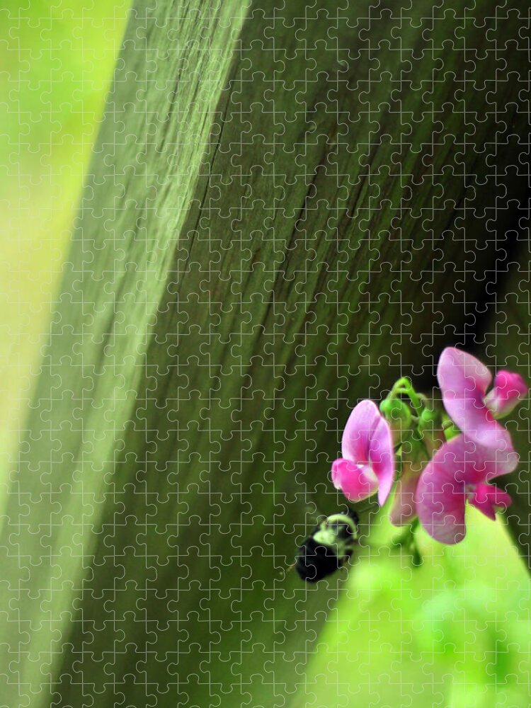 Lathyrus Odoratus Jigsaw Puzzle featuring the photograph Follow Your Bliss by Rebecca Sherman