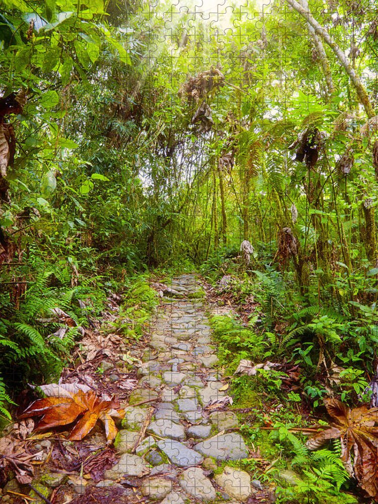 Jungle Jigsaw Puzzle featuring the photograph Footpath in the jungle by Alexey Stiop