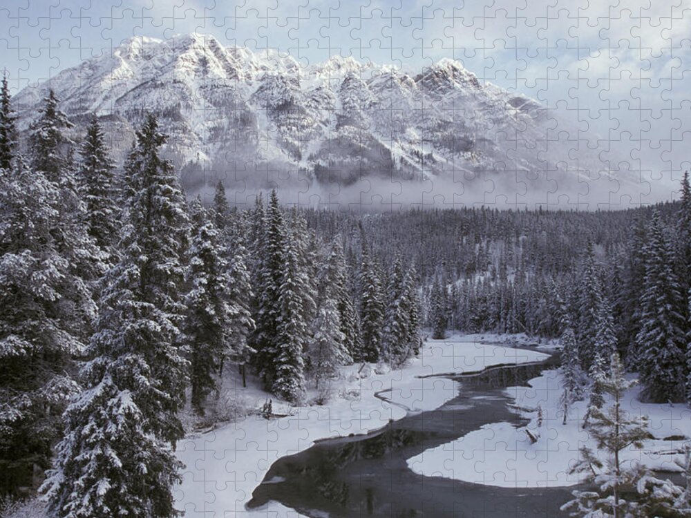 Flpa Jigsaw Puzzle featuring the photograph Forest Mt. Robson Provincial Park Bc by Mark Newman