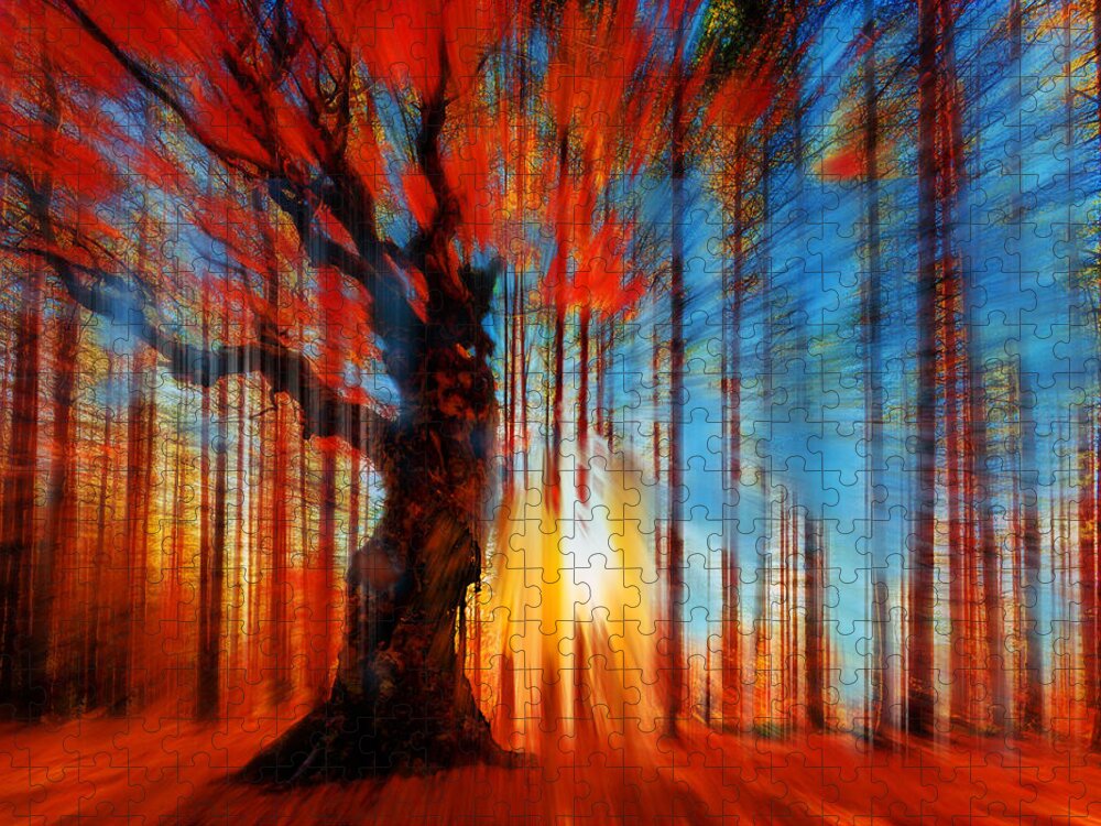 Color Jigsaw Puzzle featuring the painting Forrest And Light by Tony Rubino