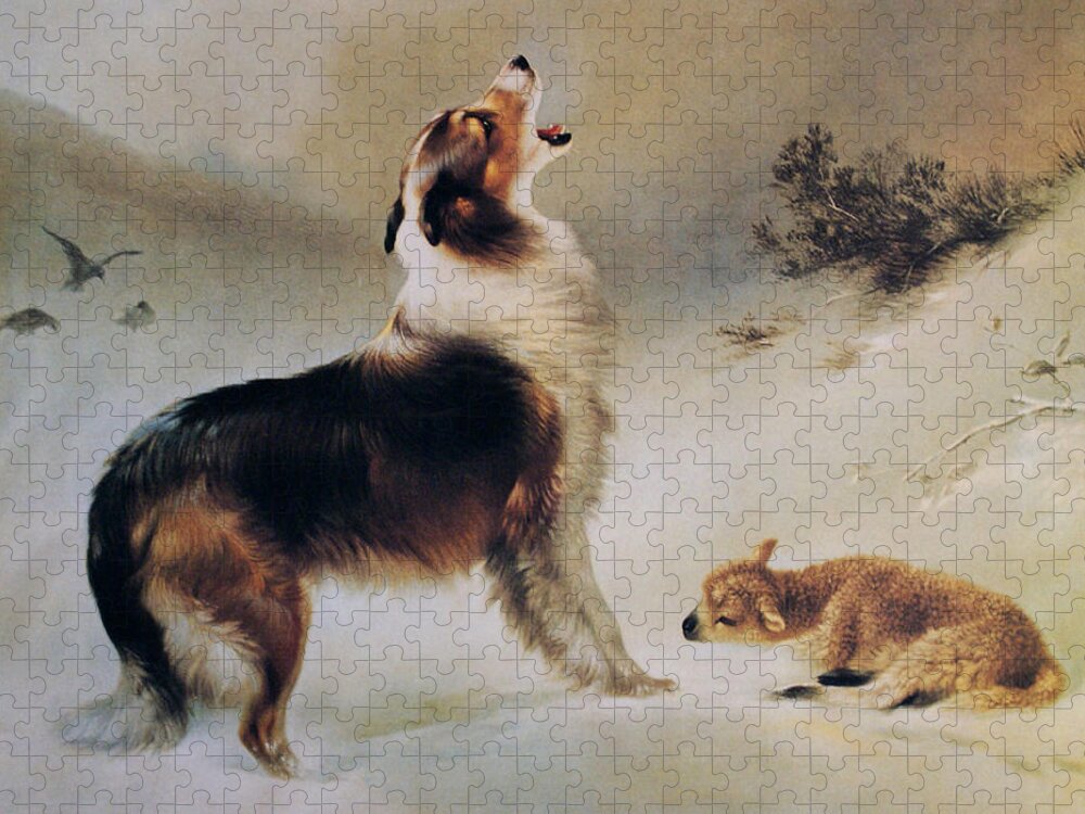 Collie Dog Jigsaw Puzzle featuring the painting Found by Albrecht Schenck
