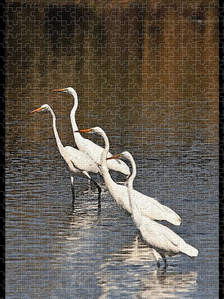 Four Egrets Fishing Jigsaw Puzzle featuring the photograph Four Egrets Fishing by Tom Janca