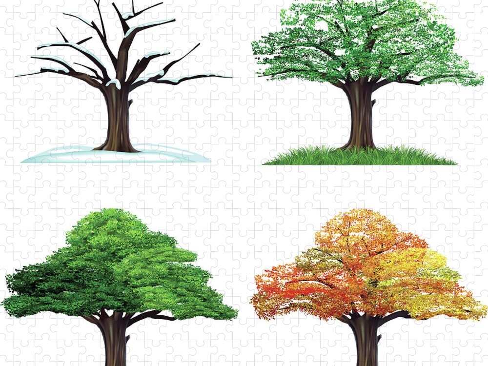 Environmental Conservation Jigsaw Puzzle featuring the digital art Four Season Tree by Sceka