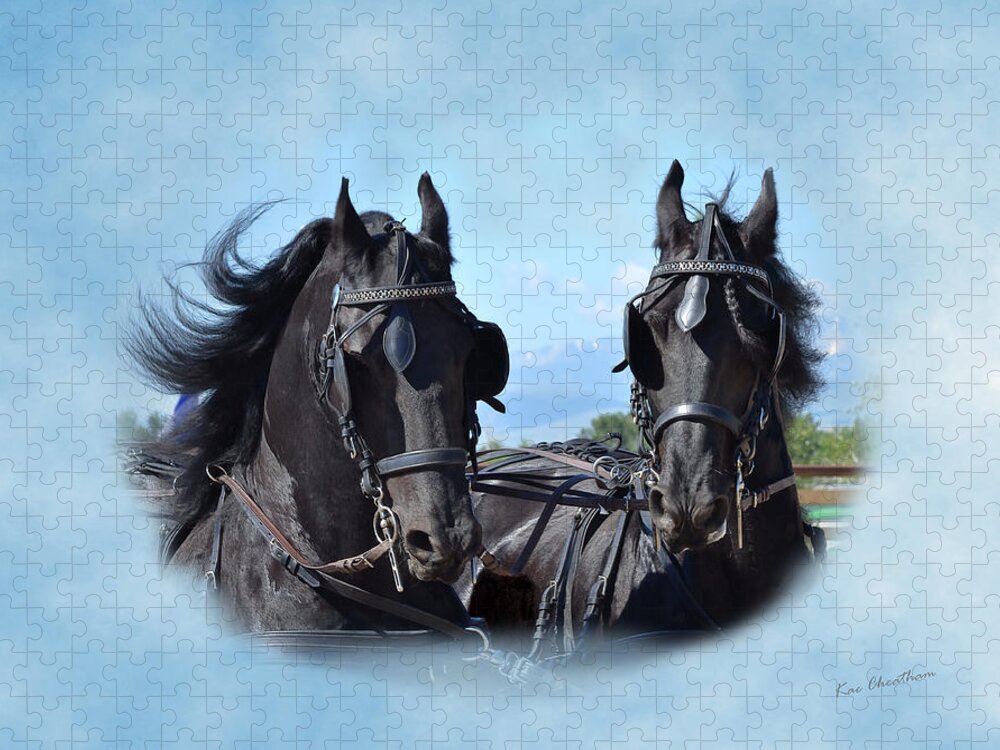 Friesian Horses Jigsaw Puzzle featuring the photograph Friesians Flying by Kae Cheatham