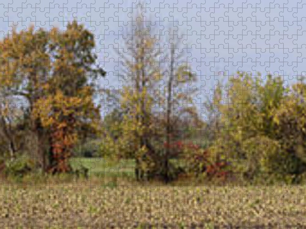 Fall Jigsaw Puzzle featuring the photograph From My Front Porch by Peter J Sucy