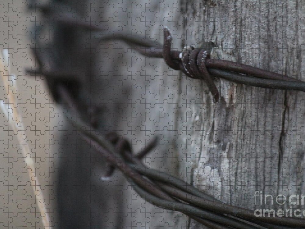 Barbed Wire Jigsaw Puzzle featuring the photograph Frost on the Wire by Ann E Robson
