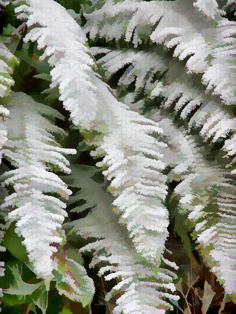 Ferns Jigsaw Puzzle featuring the photograph Frosty Ferns by Ron Roberts