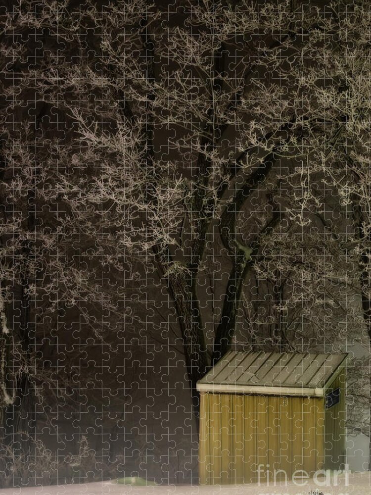 Tree Jigsaw Puzzle featuring the photograph Frosty Foggy Night by Lois Bryan