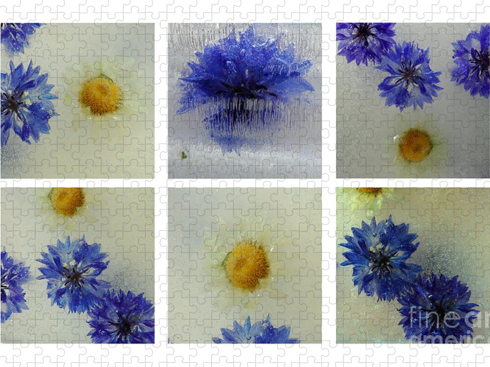 Frozen Ice Blue Flowers Icy Macro Collage Jigsaw Puzzle featuring the photograph Frozen Blue by Randi Grace Nilsberg