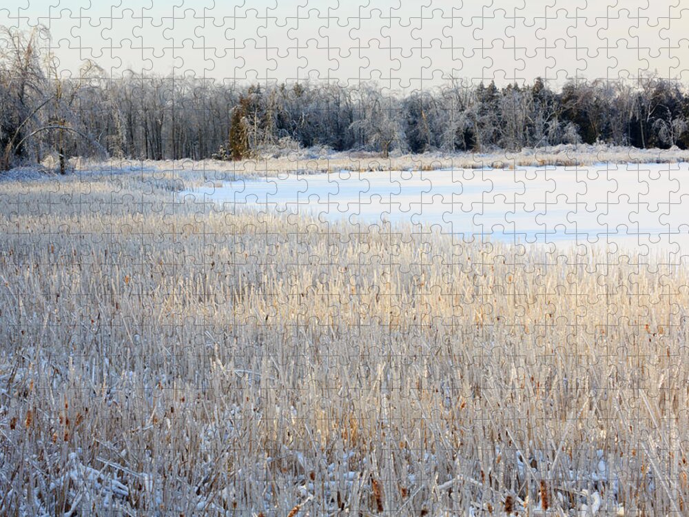 Rushes Jigsaw Puzzle featuring the photograph Frozen Lake And Ice Coated Trees And by Louise Heusinkveld