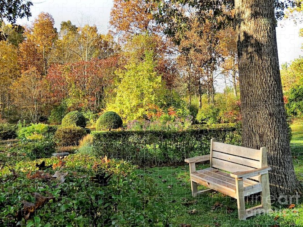 Garden Jigsaw Puzzle featuring the photograph Garden Bench by Janice Drew