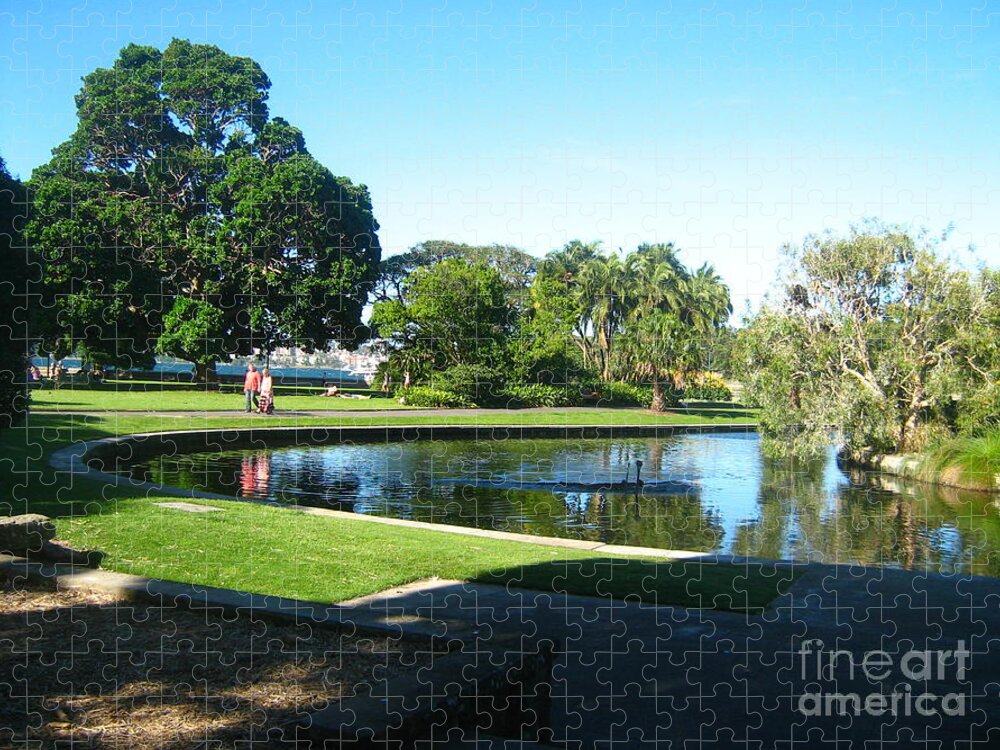 Pond Jigsaw Puzzle featuring the photograph Sydney Botanical Garden Lake by Leanne Seymour
