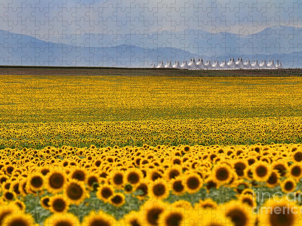 Flowers Jigsaw Puzzle featuring the photograph Gateway to the Rockies by Jim Garrison