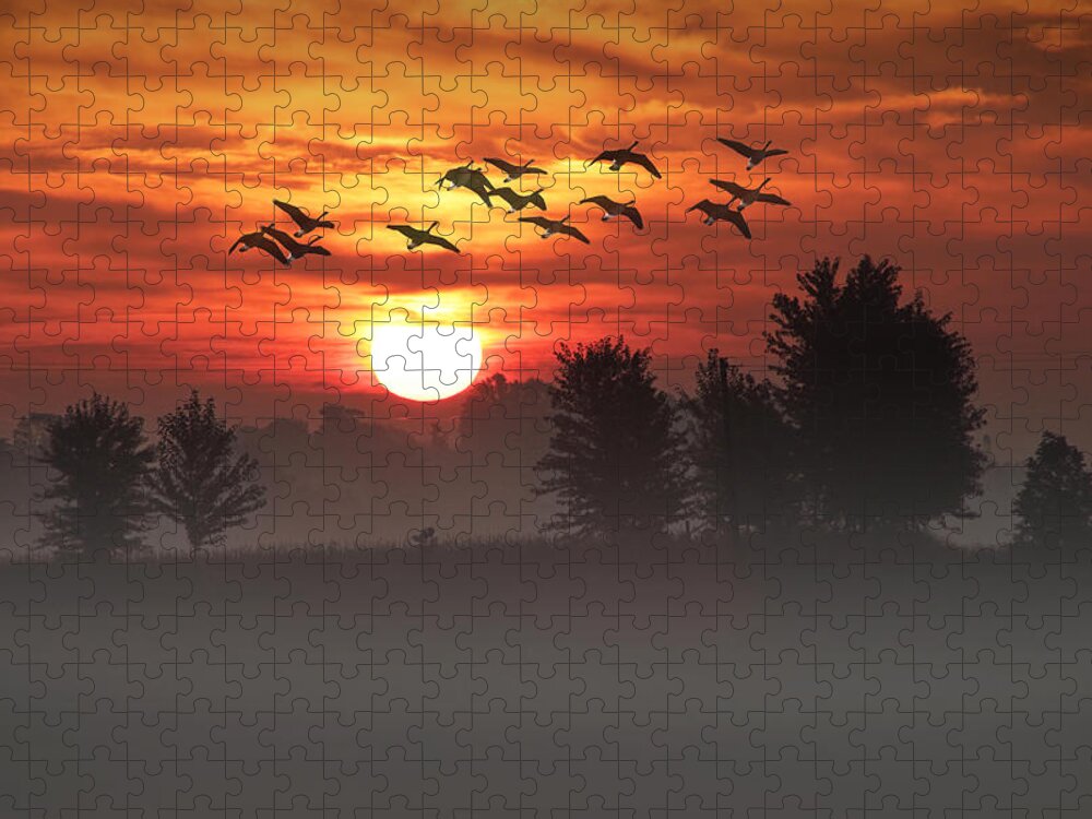 Art Jigsaw Puzzle featuring the photograph Geese on a Foggy Morning Sunrise by Randall Nyhof