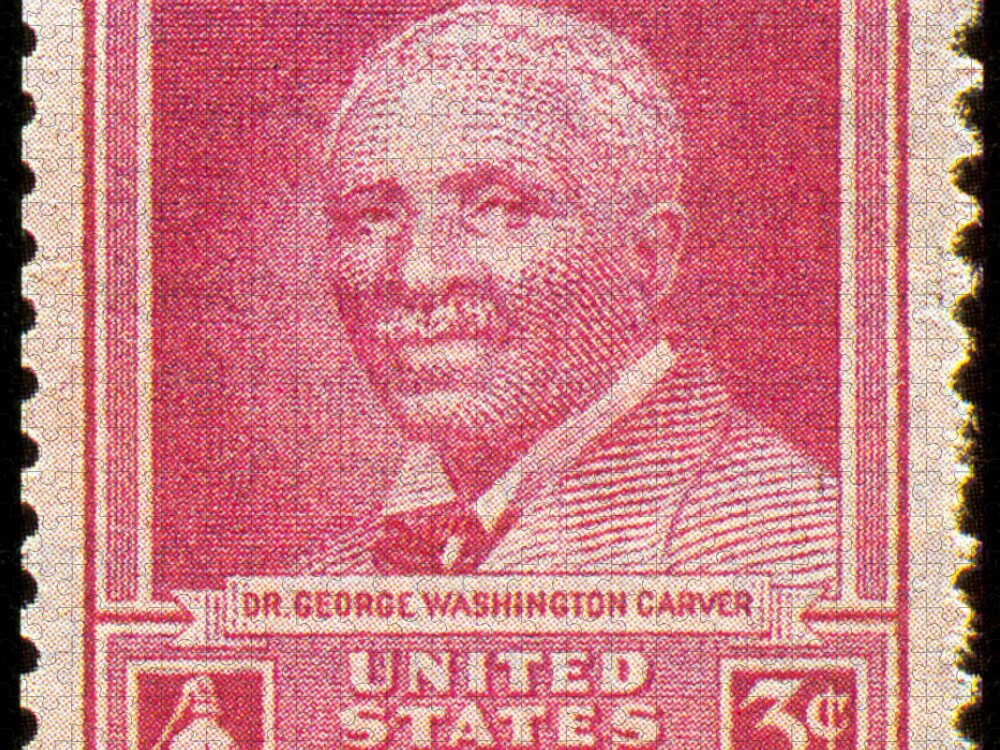 Philately Jigsaw Puzzle featuring the photograph George W. Carver, U.s. Postage Stamp by Science Source