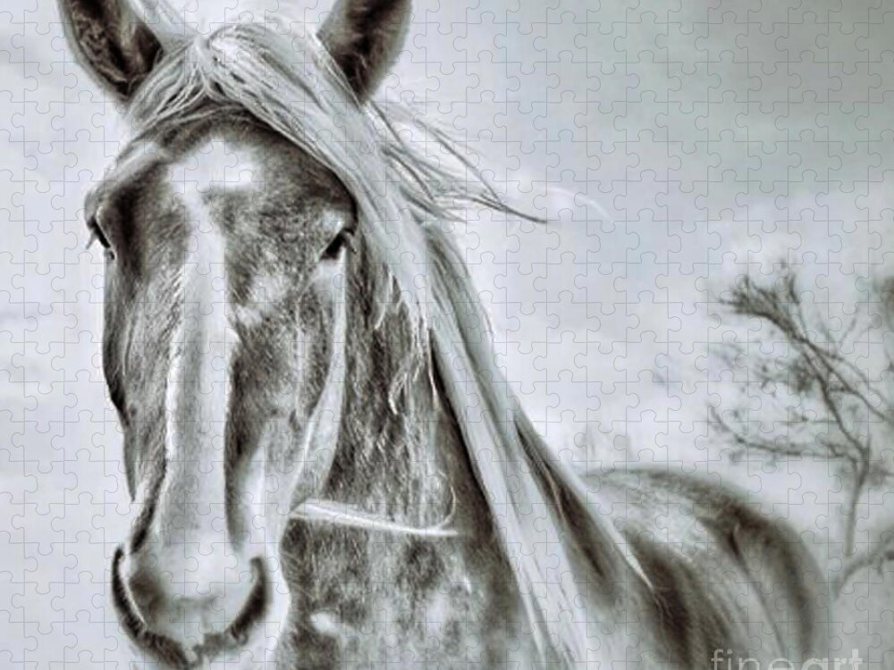Horse Jigsaw Puzzle featuring the photograph Ghost Horse 2 by Toma Caul