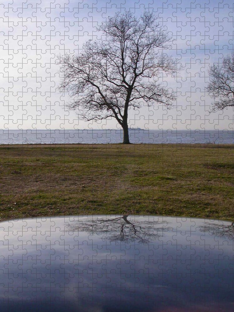 Tree Jigsaw Puzzle featuring the photograph Ghost House In The Sky At Sandy Hook by Gary Slawsky
