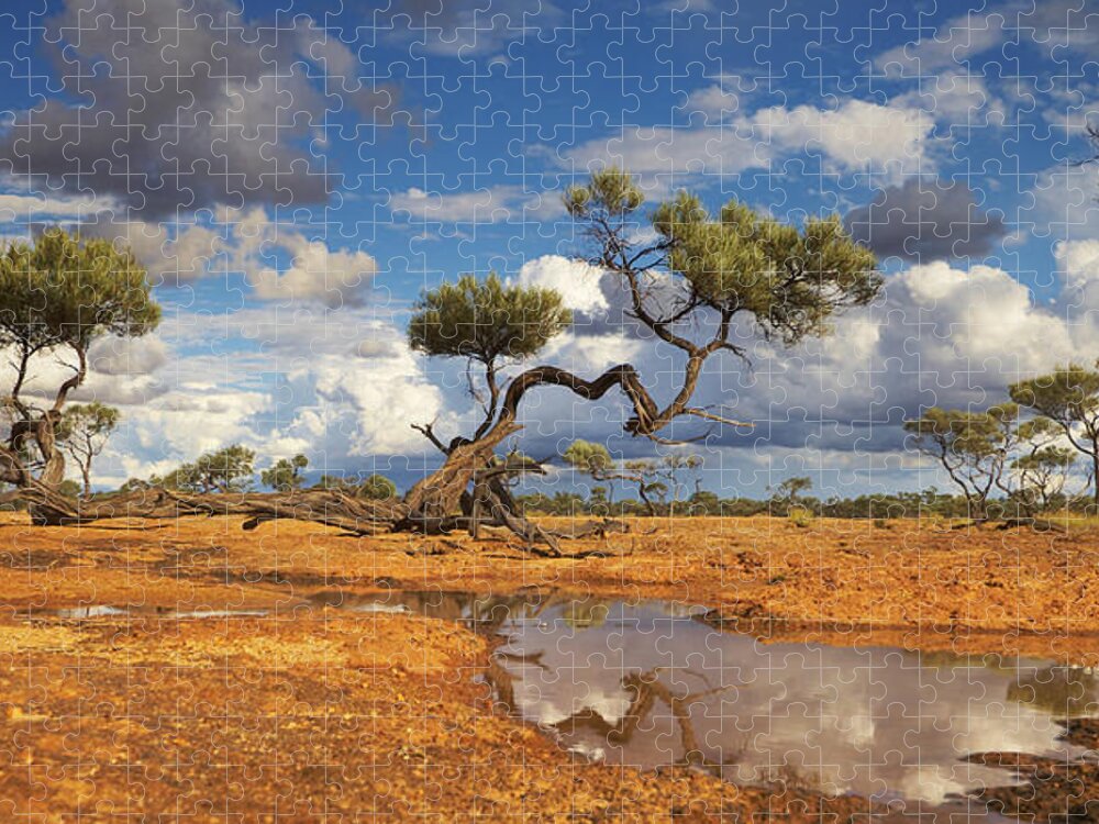 Martin Willis Jigsaw Puzzle featuring the photograph Gidgee Trees And Waterhole Queensland by Martin Willis