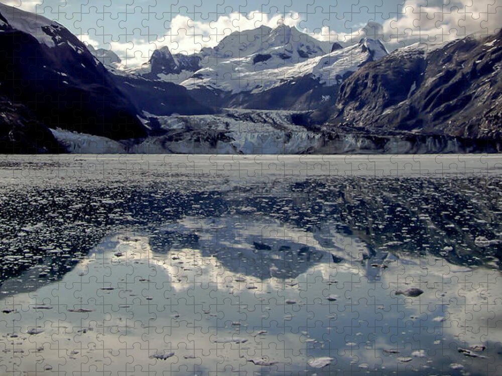 Glacier Bay Jigsaw Puzzle featuring the photograph Glacier Bay by Karen Wiles