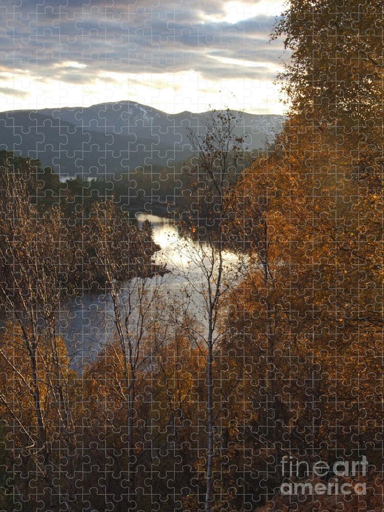 Glen Affric Jigsaw Puzzle featuring the photograph Silver and Gold - Glen Affric - Scotland by Phil Banks