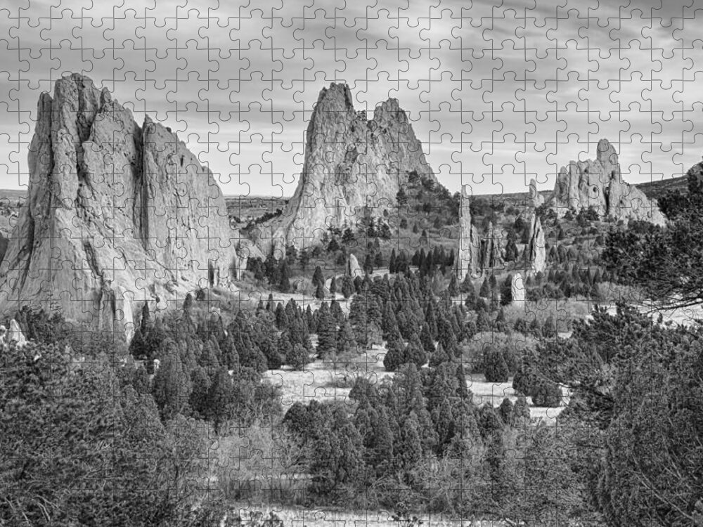 Garden Of The Gods Jigsaw Puzzle featuring the photograph Gods Colorado Garden In Black and White  by James BO Insogna
