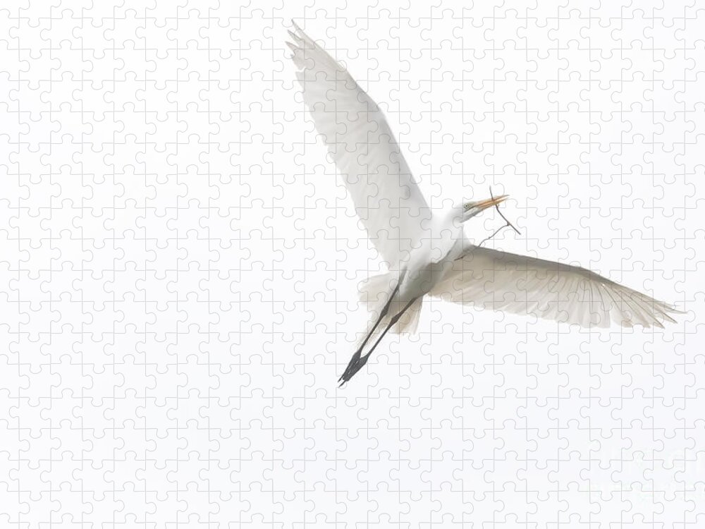 Great White Egret Jigsaw Puzzle featuring the digital art Going Home by Jayne Carney