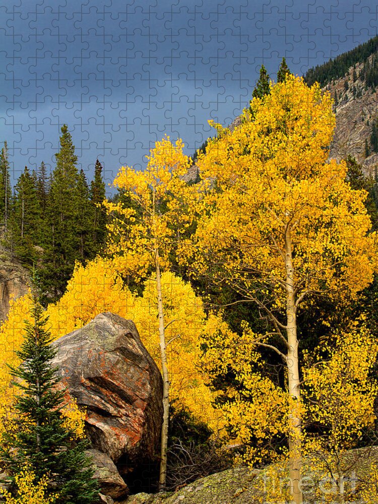 Autumn Colors Jigsaw Puzzle featuring the photograph Gold Stanchion by Jim Garrison