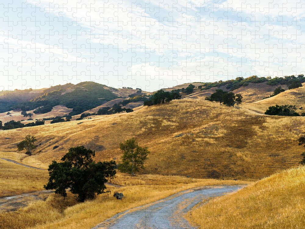 Hill Jigsaw Puzzle featuring the photograph Golden California Hills by Priya Ghose