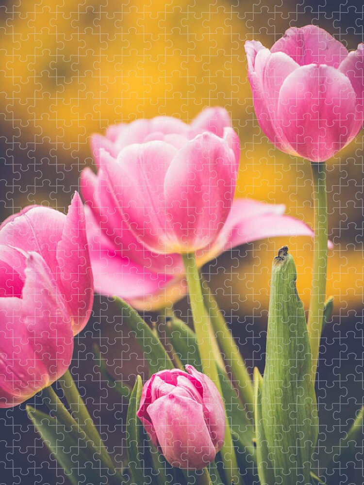 Tulip Jigsaw Puzzle featuring the photograph Golden Spring by Sara Frank