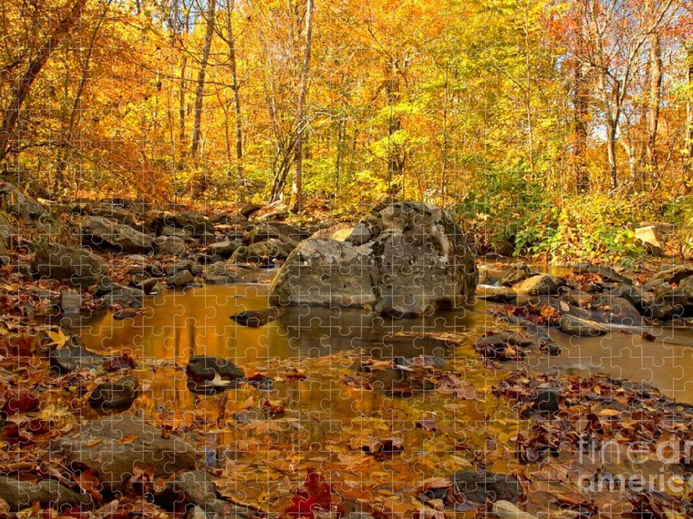 Fall Stream Jigsaw Puzzle featuring the photograph Golden Streams At New River Gorge by Adam Jewell