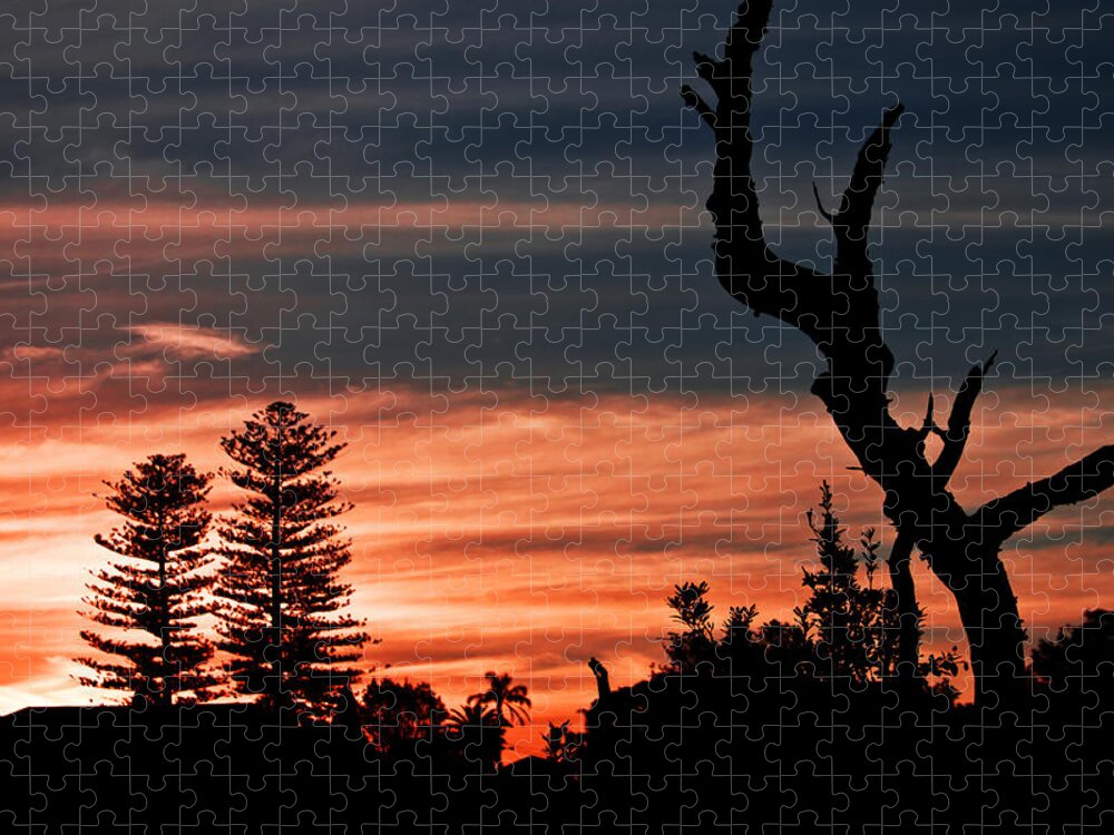 #sunset Jigsaw Puzzle featuring the photograph Good Night Trees by Miroslava Jurcik