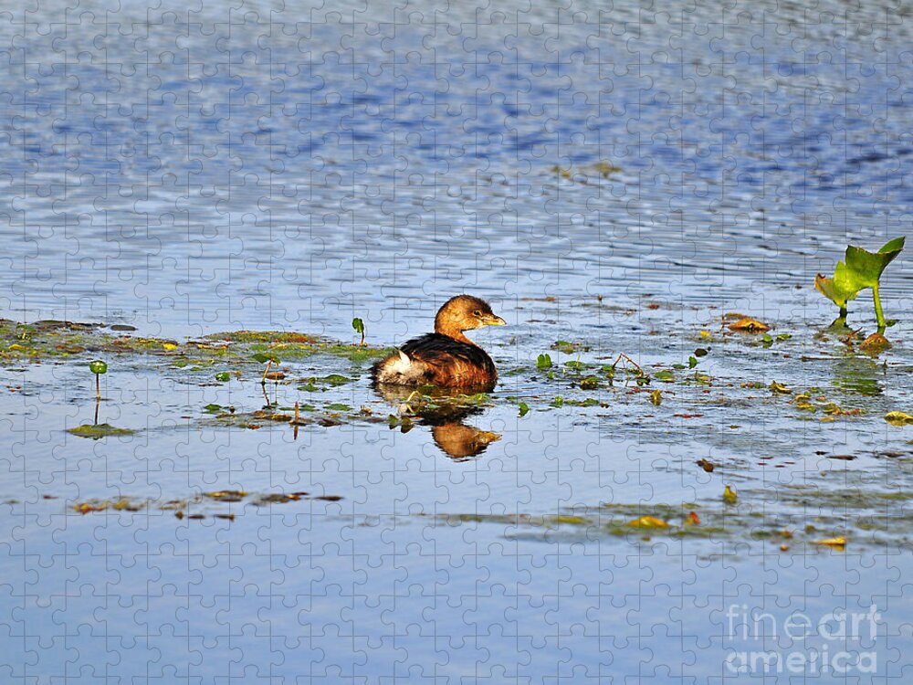 Grebe Jigsaw Puzzle featuring the photograph Graceful Grebe by Al Powell Photography USA