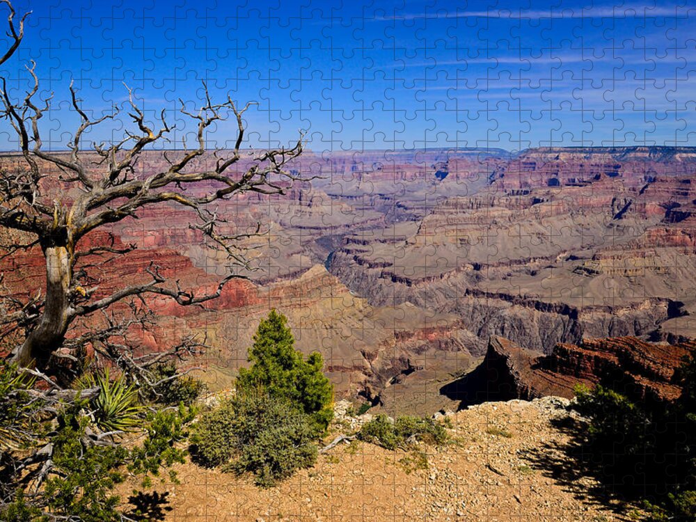 Grand Canyon National Park Jigsaw Puzzle featuring the photograph Grand Canyon South Rim Trail by Greg Norrell