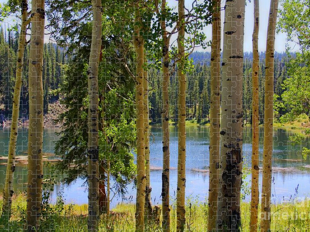 Colorado Jigsaw Puzzle featuring the photograph Grand Mesa Lake by Bob Hislop
